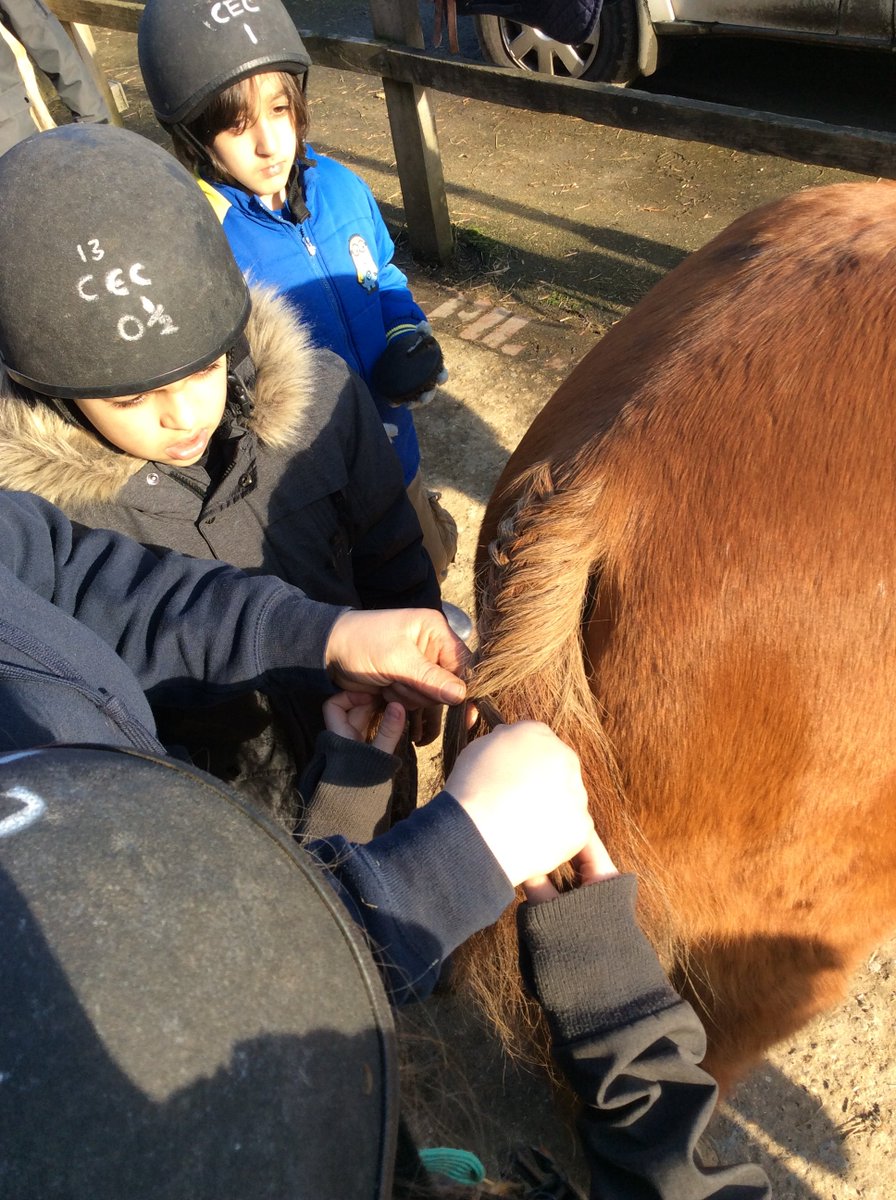 Yesterday we visited Checkendon Equestrian Centre. The children were learning about mindfulness, caring for ourselves and the animals. They also had the chance to ride them. #proudtobelong #learningoutsdietheclassroom #11before11 #ridealargeanimal