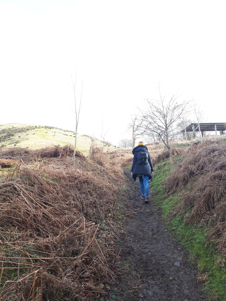 Nothing like a site visit to blow away the cobwebs <a href="/RyderLandscape/">RyderLandscape</a> ... all viewpoints checked !