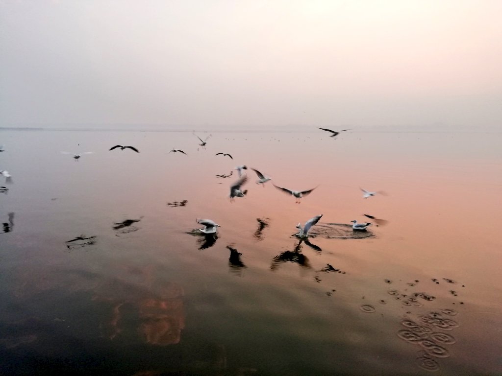 In_making_'s tweet image. The Ganges is not what she used to be. Stop blaming everything else and take a step. All you gotta do is #stopignoring 
@RiverGanga