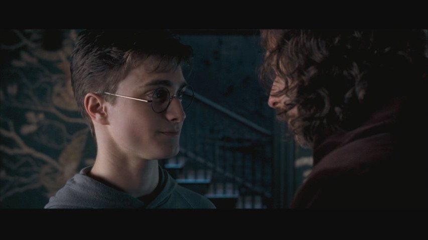 джоан роулинг гарри поттер и орден феникса. гарри поттер кадры с сириусом. поттер феникс слушать. гарри поттер и орден феникса. гарри поттер и орден феникса.