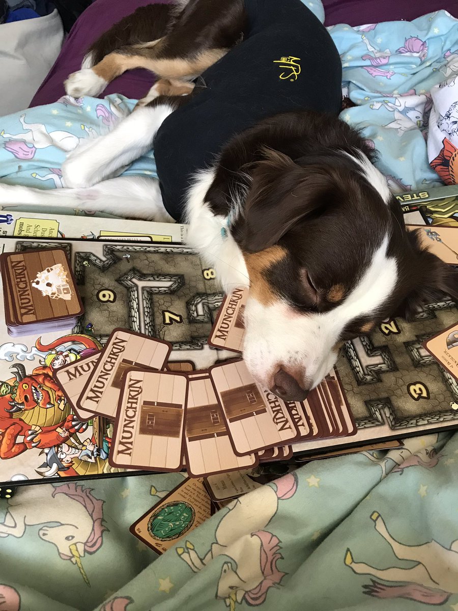 geekdogsndid's tweet image. It was all too much for Nuffle. 
Turns out my son would rather risk death than share his treasure 🤦🏼‍♀️😂😂😂
.
.
.
#resourceguarding #toomuch #doggosbeingdoggos #ttrpg #tabletopgames #munchkin