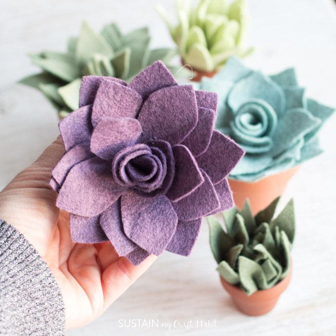 SustainMyCraftH's tweet photo. Absolutely ADORABLE! Felt succulents in #terracottapots make a great little succulent #garden, or as place settings for a #succulentwedding. #succulent #feltsucculents #feltflowers 
 https://t.co/cxKaavmALb https://t.co/JbiFGviUsc