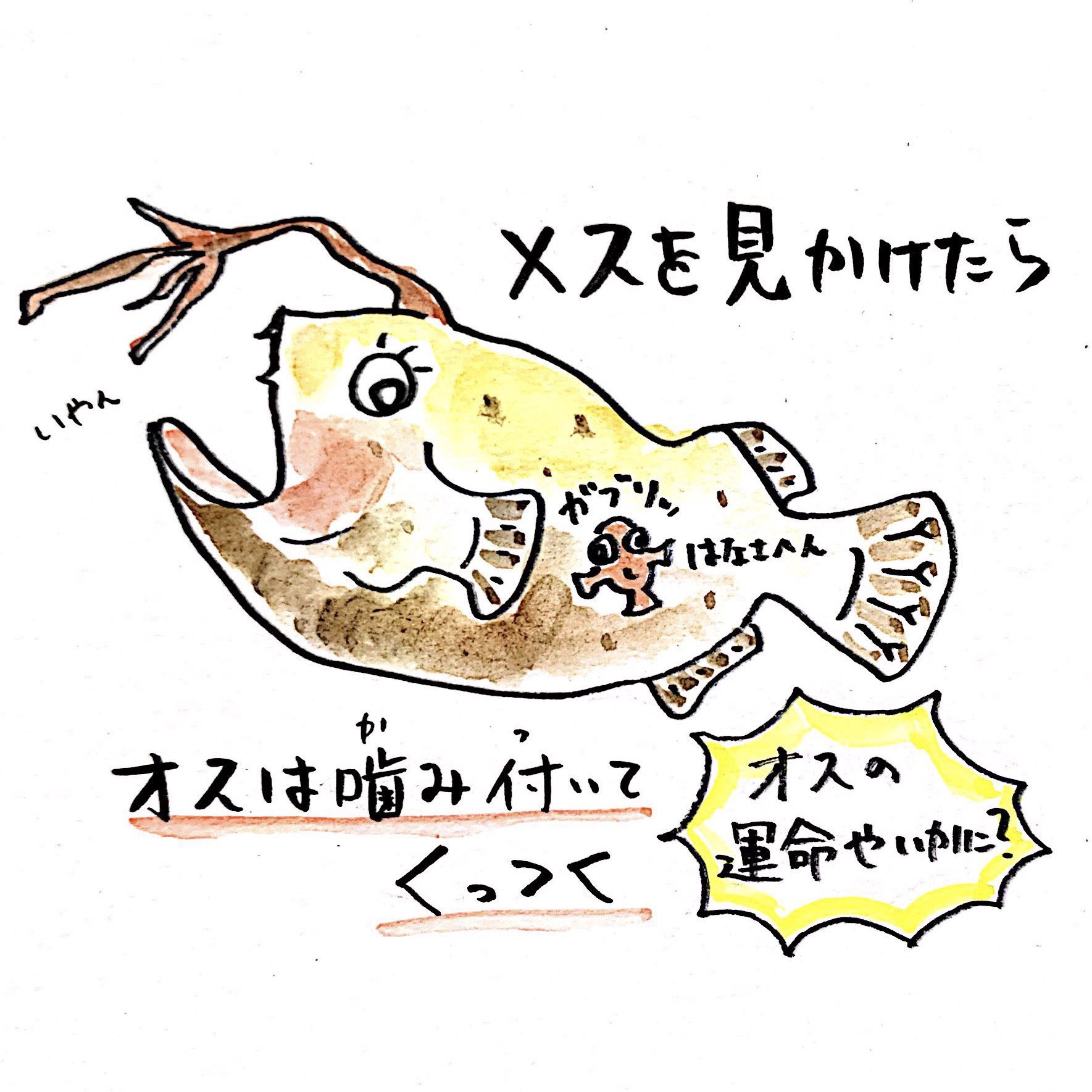 川田一輝 on X: 川田一輝 on X: