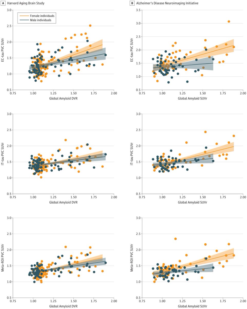 jamanetwork.com/journals/jaman…

more evidence that women are affected differently in #dementia  - #tau deposits occur earlier in the disease trajectory. important work by <a href="/bucklr01/">Rachel Buckley 🐨🇦🇺🐨</a> in <a href="/JAMANeuro/">JAMA Neurology</a> 

excellent commentary (as usual) here: goo.gl/F2z7Va

<a href="/womensbrainpro/">Women's Brain Foundation</a>
#Alzheimer