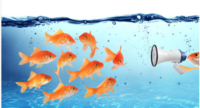 feuzeby's tweet photo. Cet après-midi, les M1 #Marketing #digital de @IAELaRochelle sont heureux de recevoir @CaroGrand, directrice de la #communication de @UnivLaRochelle, qui leur parle des spécificités de la #communication #publique ! https://t.co/kx6eJ1DcVv