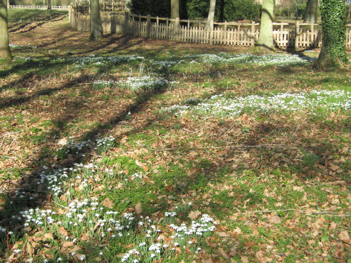 A trip to Stowe gardens in #Buckinghamshire was supposed to be all about the new Labyrinth play area and the snowdrop season. Sadly it wasn't quite what I expected freetimewiththekids.com/labyrinth-and-… #DaysOut #family #NationalTrust