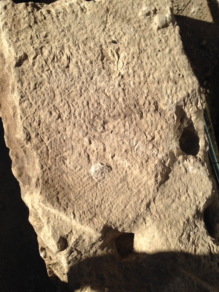 jsoldeville's tweet photo. #Grenoble #CVCM #archéologie Émotion de voir resurgir la #Cularo antique ! #RueChenoise un bloc de 300 kg a été extrait de la fosse, où sera bientôt planté un arbre ; selon M.Jospin, dir. du Musée archéologique, un socle en calcaire du Bugey, sur lequel aurait reposé une statue. https://t.co/3vBM86wqv1