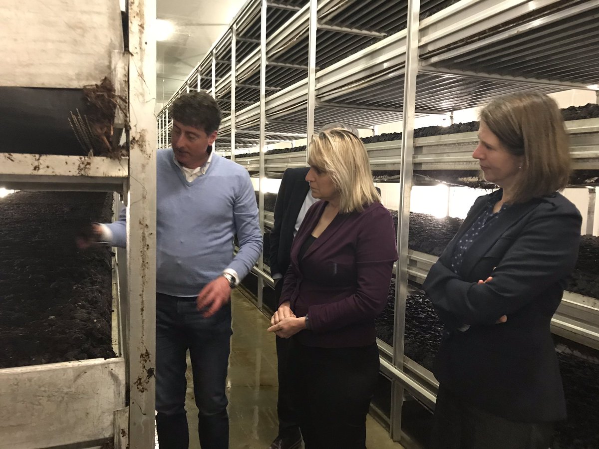 GFHuis's tweet image. Bedrijfsbezoek aan de champignonsector van @MSonnema van @minlnv Inzicht in duurzame sector #kringlooplandbouw met @GFHuis @LTONederland @RobBanken bij Hooymans Compost en Marc van Dormaele