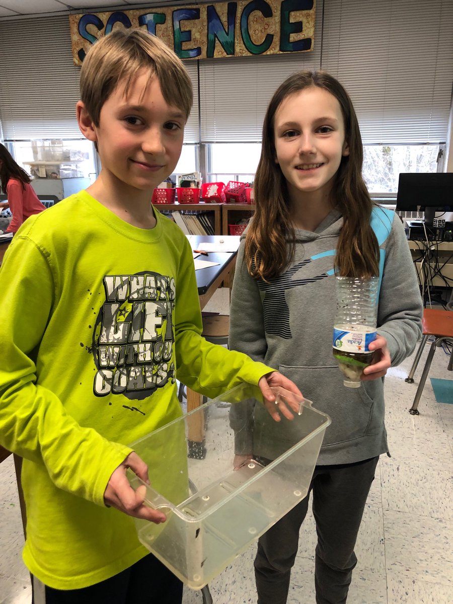 chapman_school's tweet photo. Chapman 5th graders working as engineers...figuring out how to filter dirty water using limited resources ! Complex thinking in action ! https://t.co/BXyKI28j3r