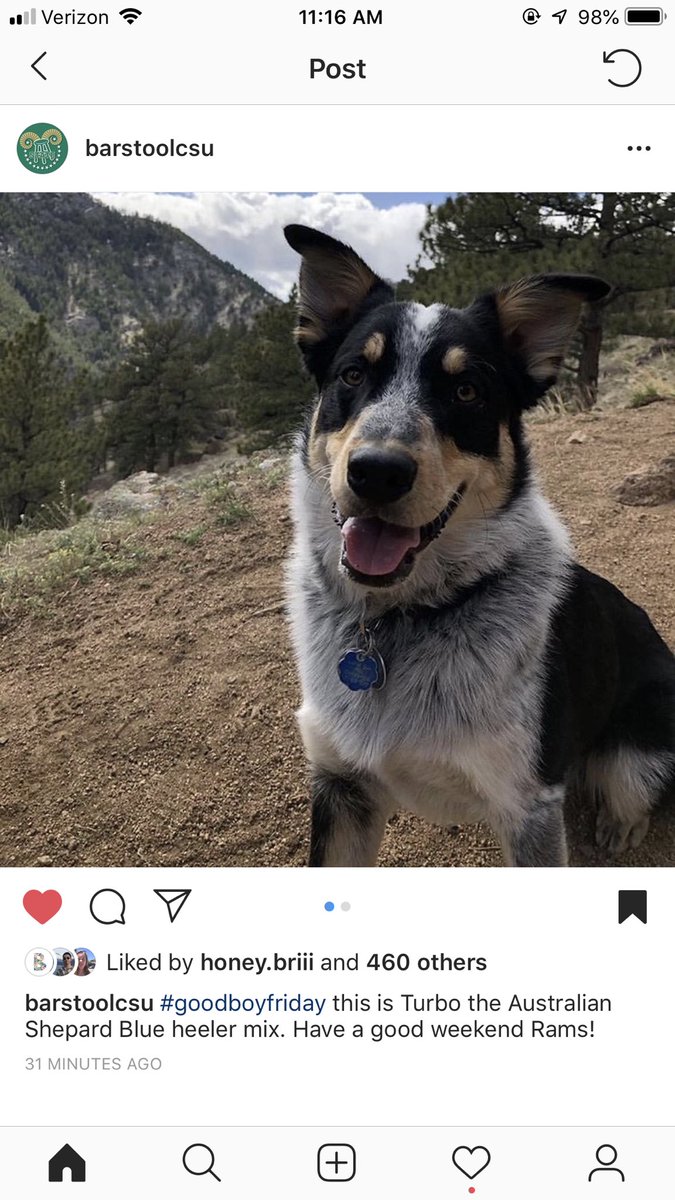 k3lsdillon's tweet photo. He’s famous now https://t.co/qfex4Uiypr