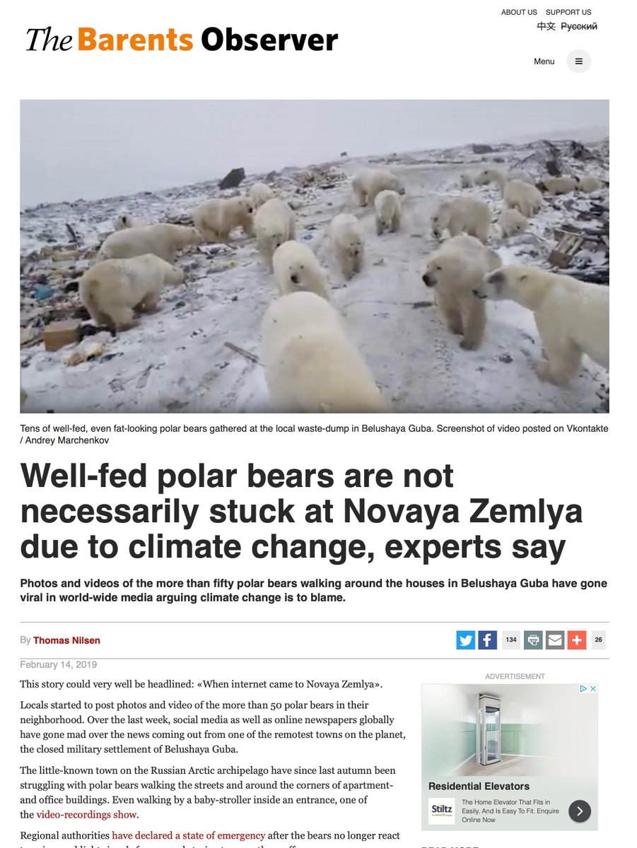 AEDerocher's tweet photo. News fail. No "experts" on #polarbears provided insights beyond a television producer &amp; a known climate change denier. No wonder some people are confused. It may not be climate change but it's consistent with the predicted impacts of climate change. https://t.co/02zZ7lZOgd https://t.co/t4QA1WlGML