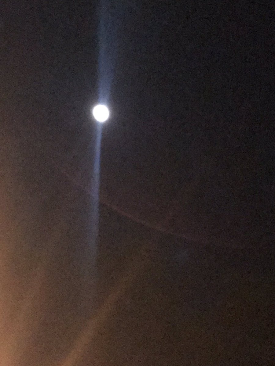 Idoneyermum's tweet image. Shite picture, but the star at about 0500 is #Betelgeuse #StarChartApp @Byfleetbee