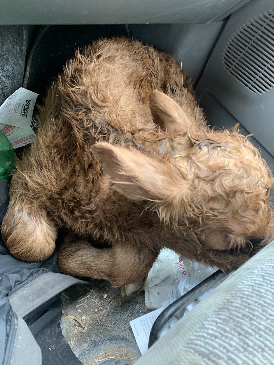 Got me a travel buddy!!!