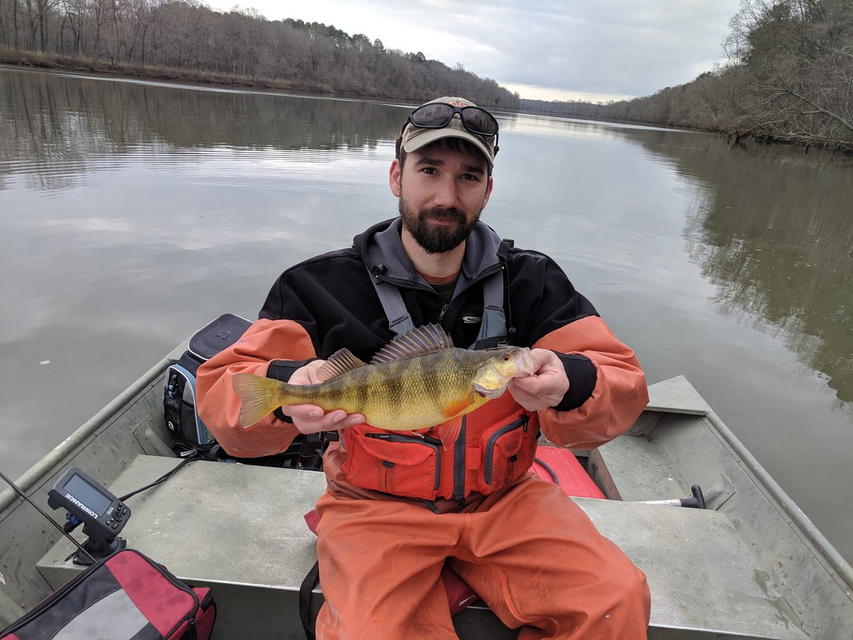 CUFisheriesSoc's tweet photo. Graduate student John Cannaday with a jumbo Yellow Perch from the Savannah River. John is a Master's student studying the impacts of climate change on Yellow Perch reproduction in SC. #FieldWorkFriday #FishSci https://t.co/LuvtG13zQd