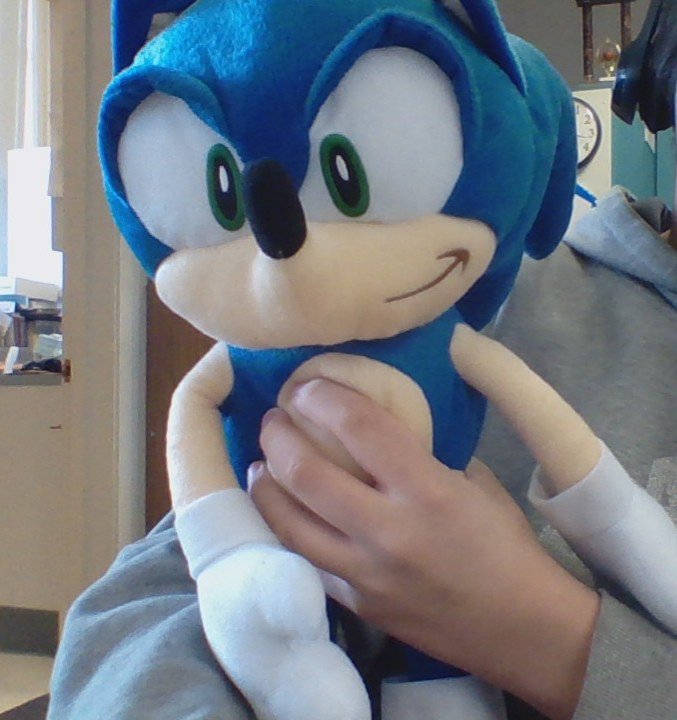 joypolis sonic plush