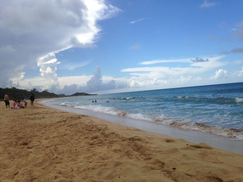 😎👣💖🌴
Beautiful all year round here in Puerto Rico.
.
📍La playa
.
.
.
.
#vacationonourisland #helppr #helpprcare #amazingpuertorico #beautifulisland #prthrive #puertorico #amazingbeach #laplaya