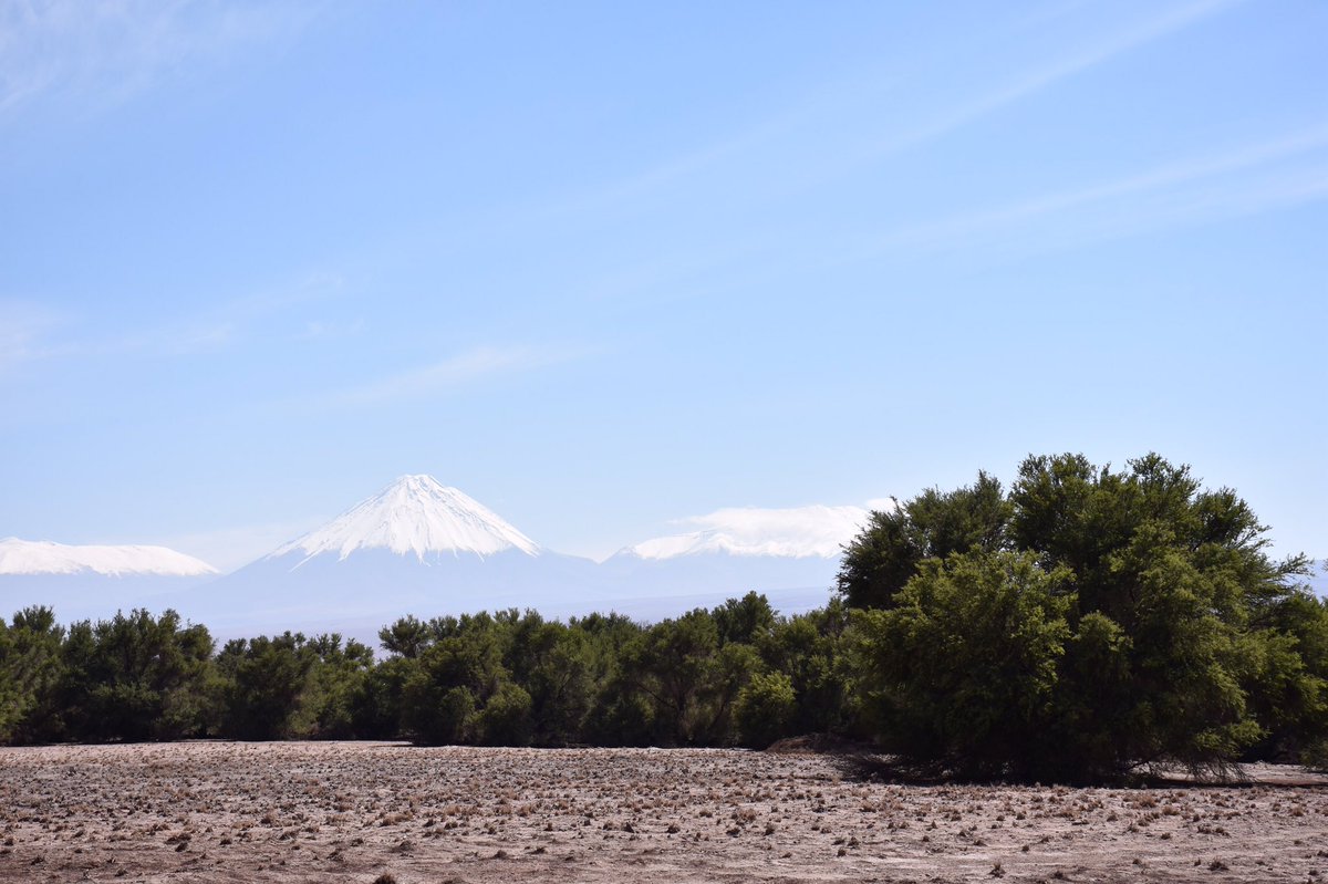 CONAFantof's tweet image. Se informa apertura del sector lagunas Miscanti Miñiques a partir de hoy 15 de febrero. Todos invitados a visitar este hermoso lugar #SanPedrodeAtacama #antofagasta #calama #chile