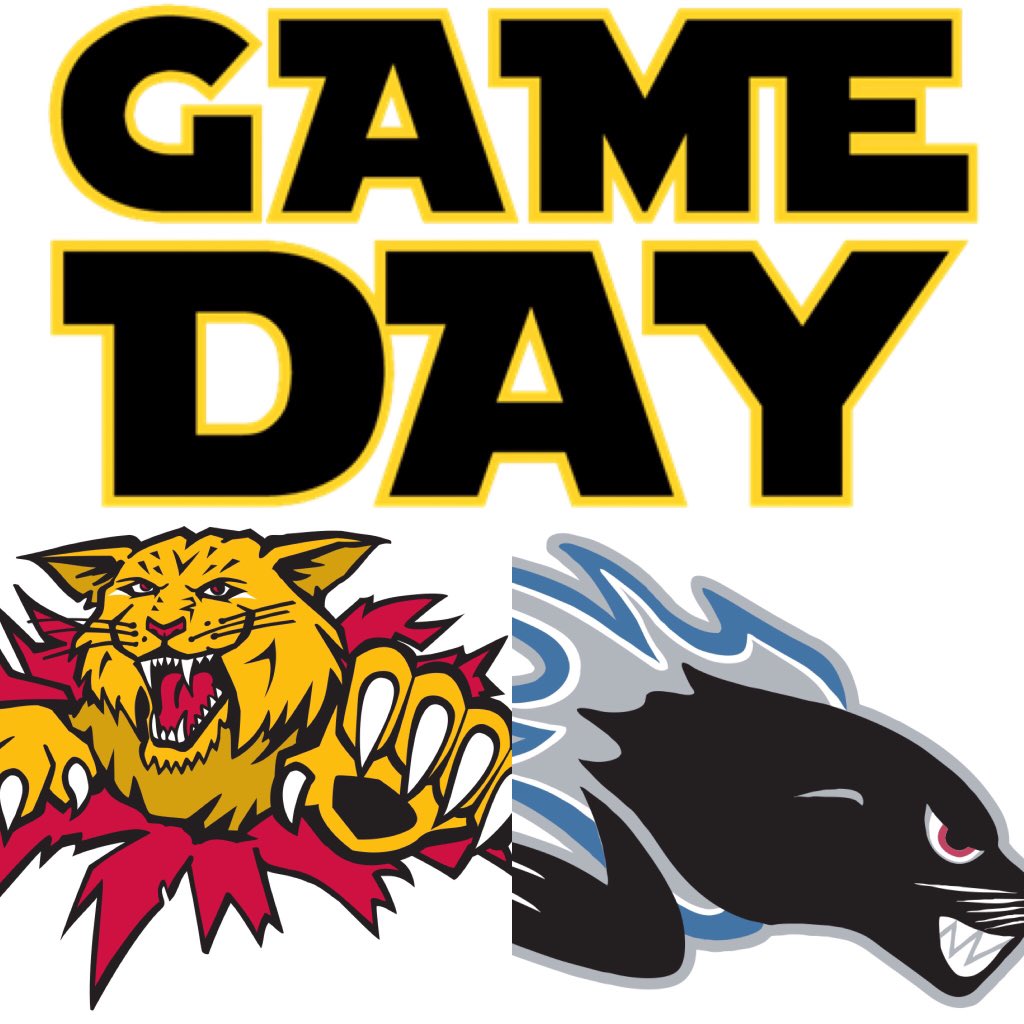 MonctonWildcast's tweet photo. FINAL ROAD GAME, the Cats look to be perfect to end this 4 game road trip as the battle the SeasDogs tonight in Saint John. The Wildcats get Aspirot and Anttalainen back in the lineup tonight!!
#Moncton #MonctonWildcats #QMJHL #DefendTheDen #BeatSeadogs https://t.co/OhC3KuB0Di