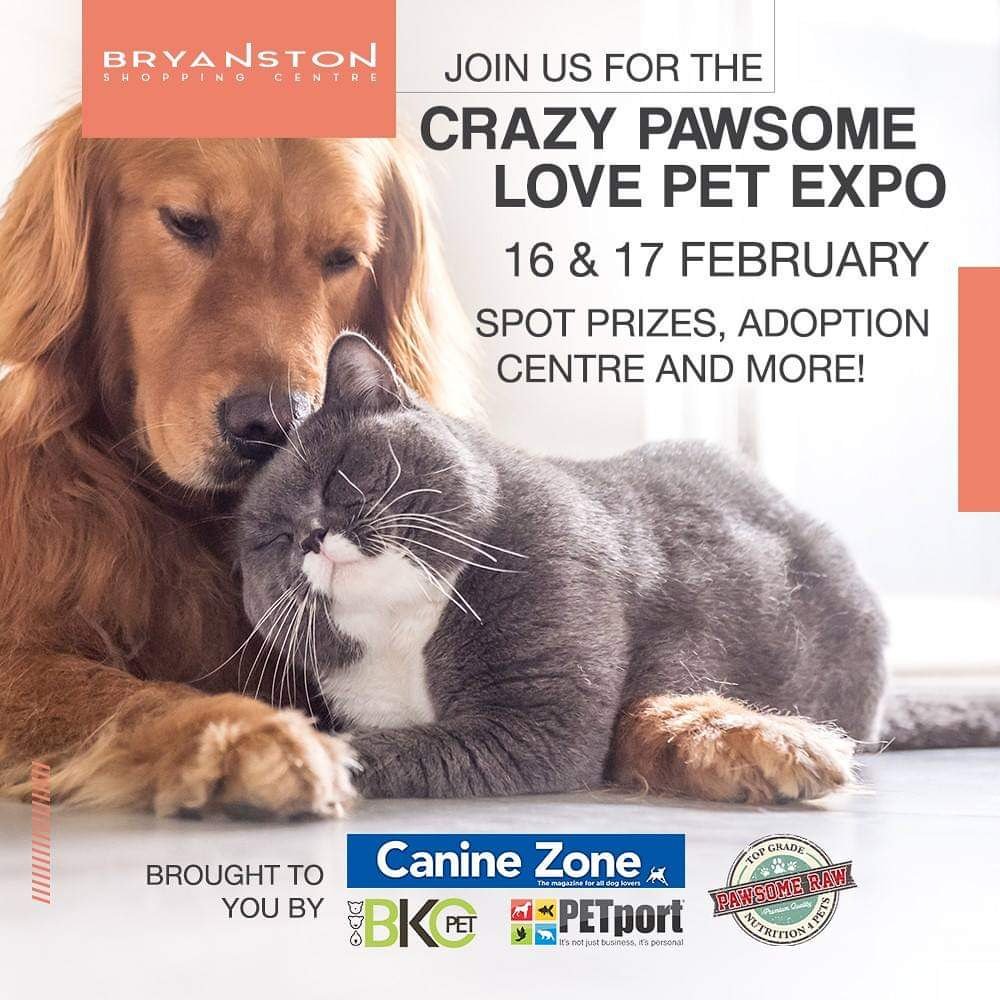 caninezonesa's tweet photo. https://t.co/DMlq9rWCpw
