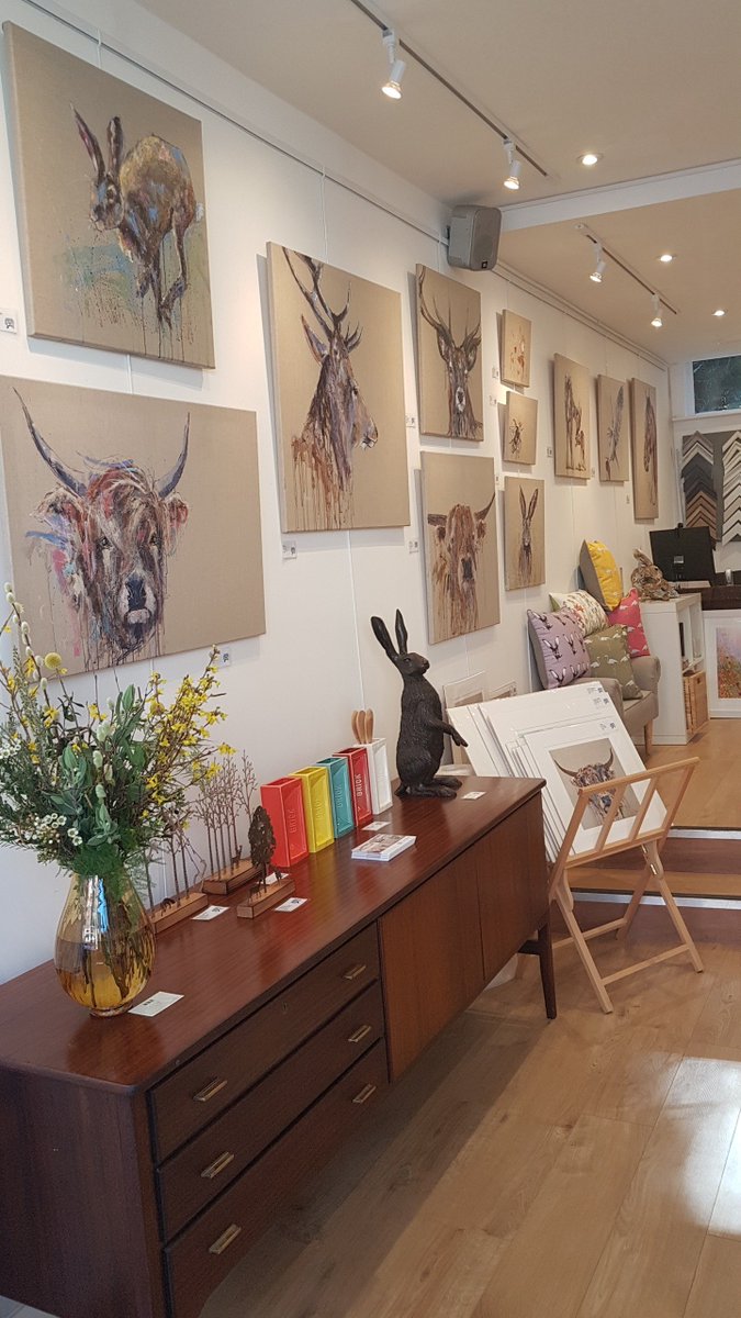 YteneGallery's tweet photo. We're ready for the #halfterm holidays! #newforest #fridayfeeling https://t.co/LLhxCZmdIP