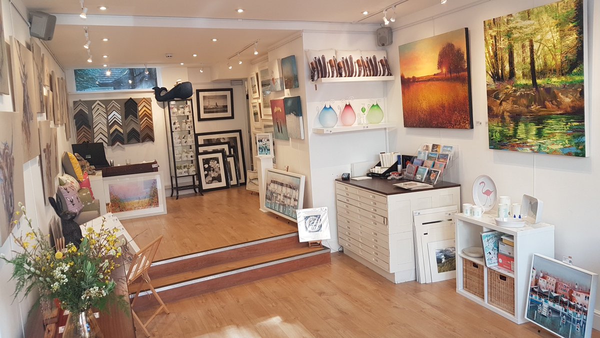 We're ready for the #halfterm holidays! #newforest #fridayfeeling