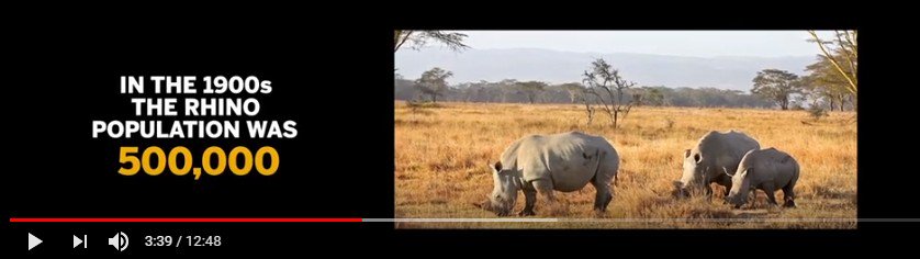 EPIUSEColombia's tweet photo. La caza ilegal de elefantes y rinocerontes ocurre a diario en Sudáfrica #EPIUSE como miembro de #groupelephant , evitan que esta situación continue implementando la tecnología de #SAP ¿Conoces las inquietantes cifras? 👇 https://t.co/6RQkNXz2Mm Visita:https://t.co/FD6P3odlYG https://t.co/OLItGzrZD1