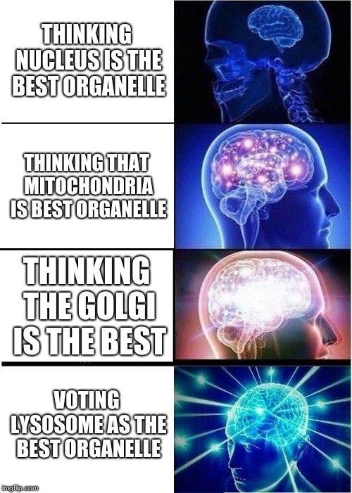 bigboylyso's tweet photo. Meme intermission #cellc2k19 @MsDSacco https://t.co/U9ro1y81C9