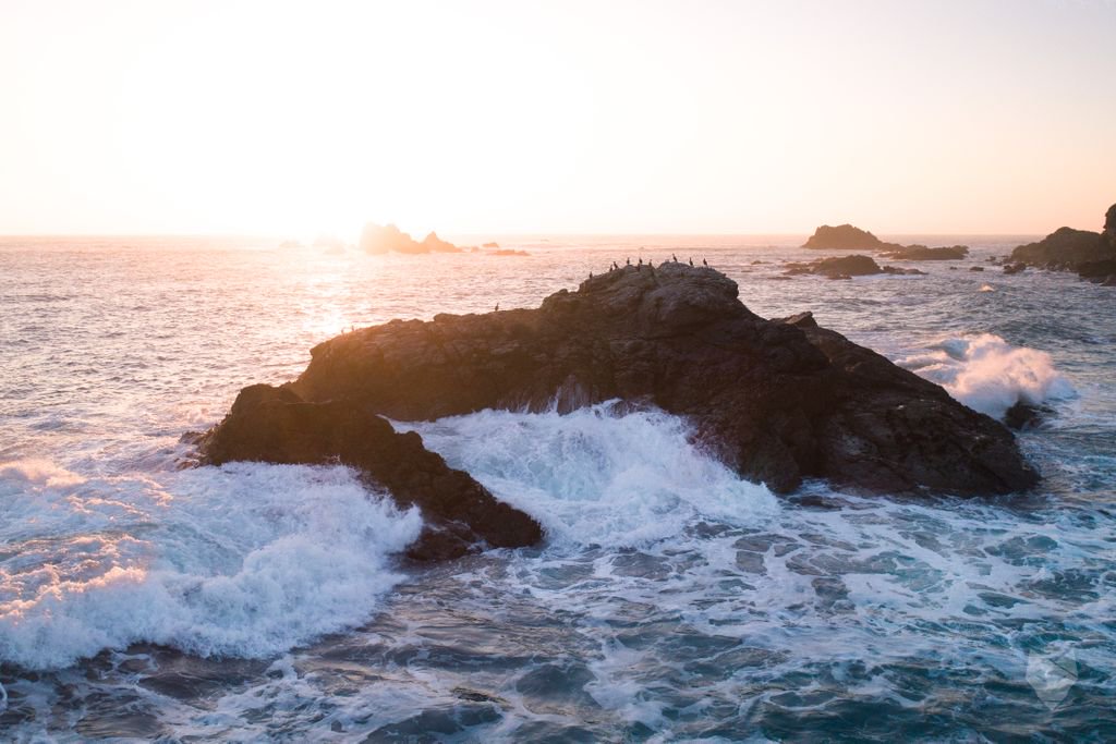 Do you think cormorants appreciate a good sunset?

#higherperspectives | badwolfhorizon.com