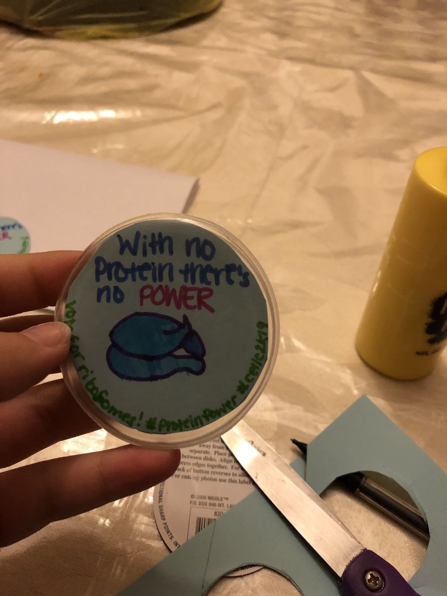 restless_ribi's tweet photo. We got free merch to give out during the debate!😘 #proteinpower💪 @MsDSacco https://t.co/4TdOgKmkgG