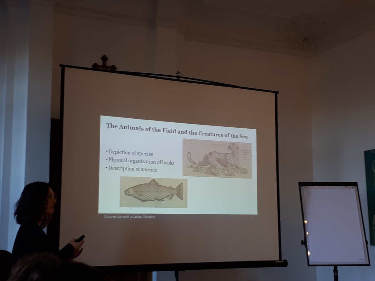 OddShrimp's tweet photo. Sophia Hendrikx talks about 16th century taxonomic treatments of mammals and fishes #Rolduc19 Take a look at her blog: https://t.co/UKNYdnhcvx https://t.co/xXpiLJGHHG