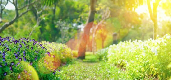 OgdensTravel's tweet photo. 🌼🌷Spring is in the air🌷🌼 - https://t.co/LewZCTfPPG https://t.co/lmUKwtylce