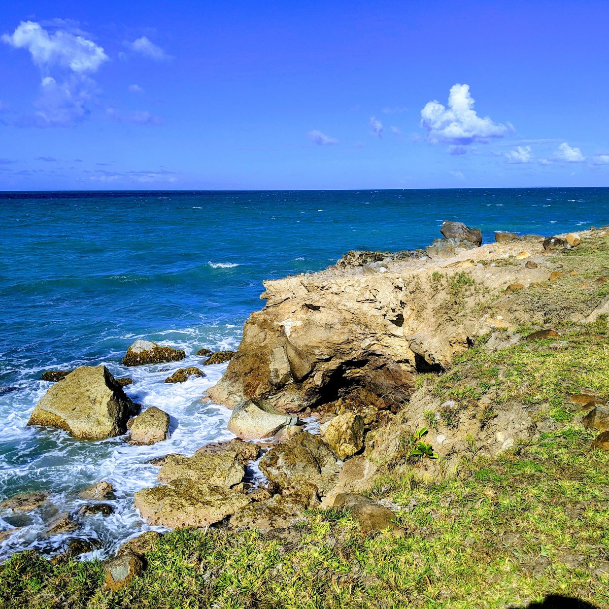 ExplorGames®️ by Atelier Nature tweet media