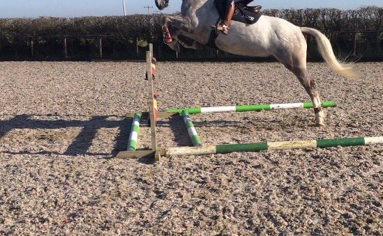 LizzieBlamire's tweet photo. ✈️ that wasn’t the spot I was looking at for take off! Never mind 🤣 #hollybushfarm #cumbria flying without wings!! Get up!!! #poweredbypure https://t.co/mpqWANr82D