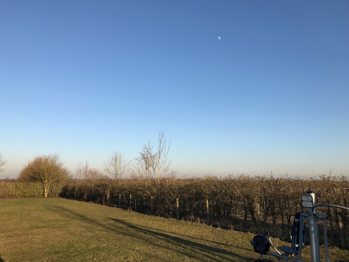 nullgenome's tweet photo. Feels like spring today https://t.co/oyIXmTIN0b