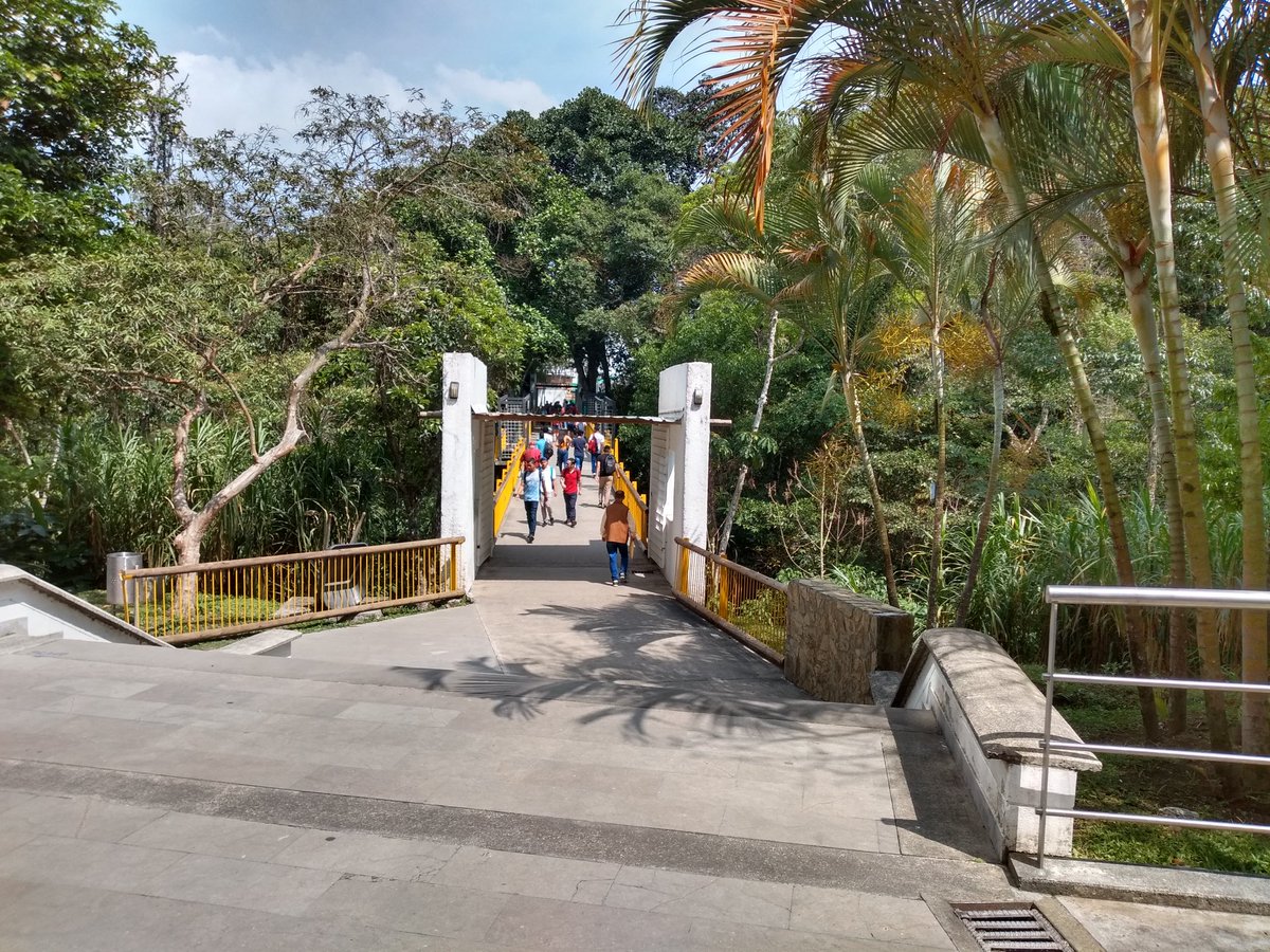 Tecnotitan's tweet photo. Universidad Tecnológica de Pereira https://t.co/Dv5EmI5cJ1