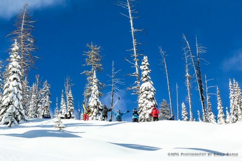 Great Northern PG tweet media