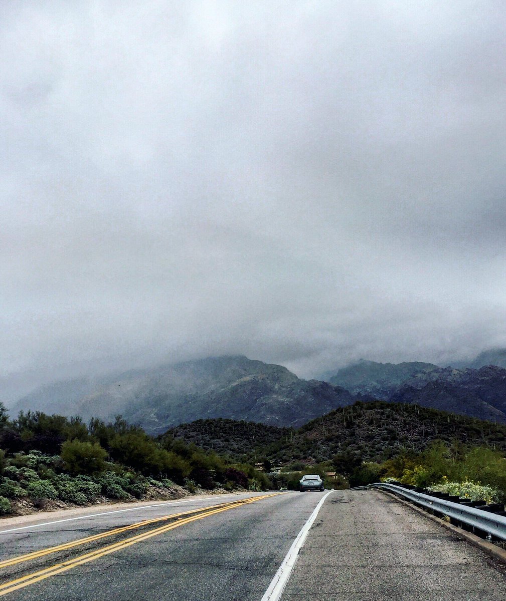 totallytucson's tweet photo. Happy Friday, #Tucson! High 60’s and cloudy today. A Spring monsoon takes center stage in our high desert playground. View as I’m driving up Kolb Rd. to @SabinoCanyonAZ as Snyder is closed due to gushing water. #happinessrain #springmonsoon https://t.co/uE53f4c7sU