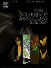 blast2go's tweet photo. Blast2GO Citation | Pyrosequencing of the midgut transcriptome of the poplar leaf beetle Chrysomela tremulae reveals new gene families in Coleoptera 👉 https://t.co/QnlU8IbcgZ #bioinformatics #bioinfo #genomics #genome #blast2GO https://t.co/Xa0e23ceHO