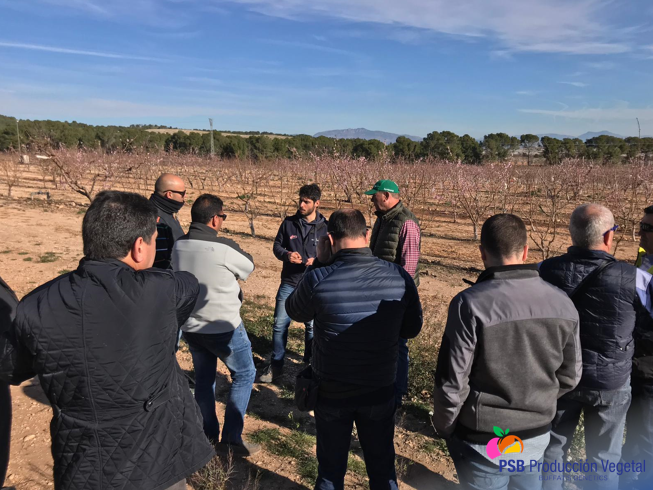PSBProduccionV's tweet photo. Visita de productores catalanes y Symborg a nuestras fincas @SymborgBioAg https://t.co/FWEkJiffwC