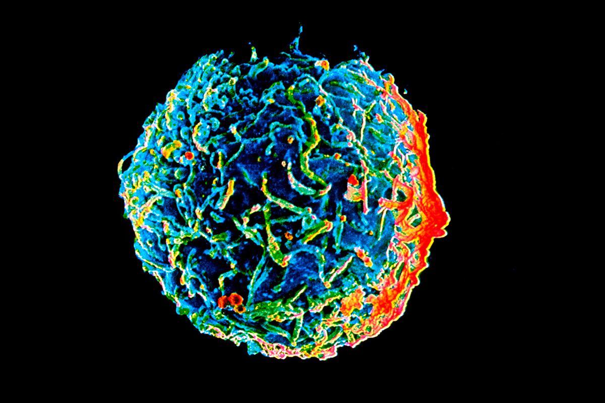 CRISPR could help us protect ourselves from viruses like flu and HIV bit.ly/2N7DTpE