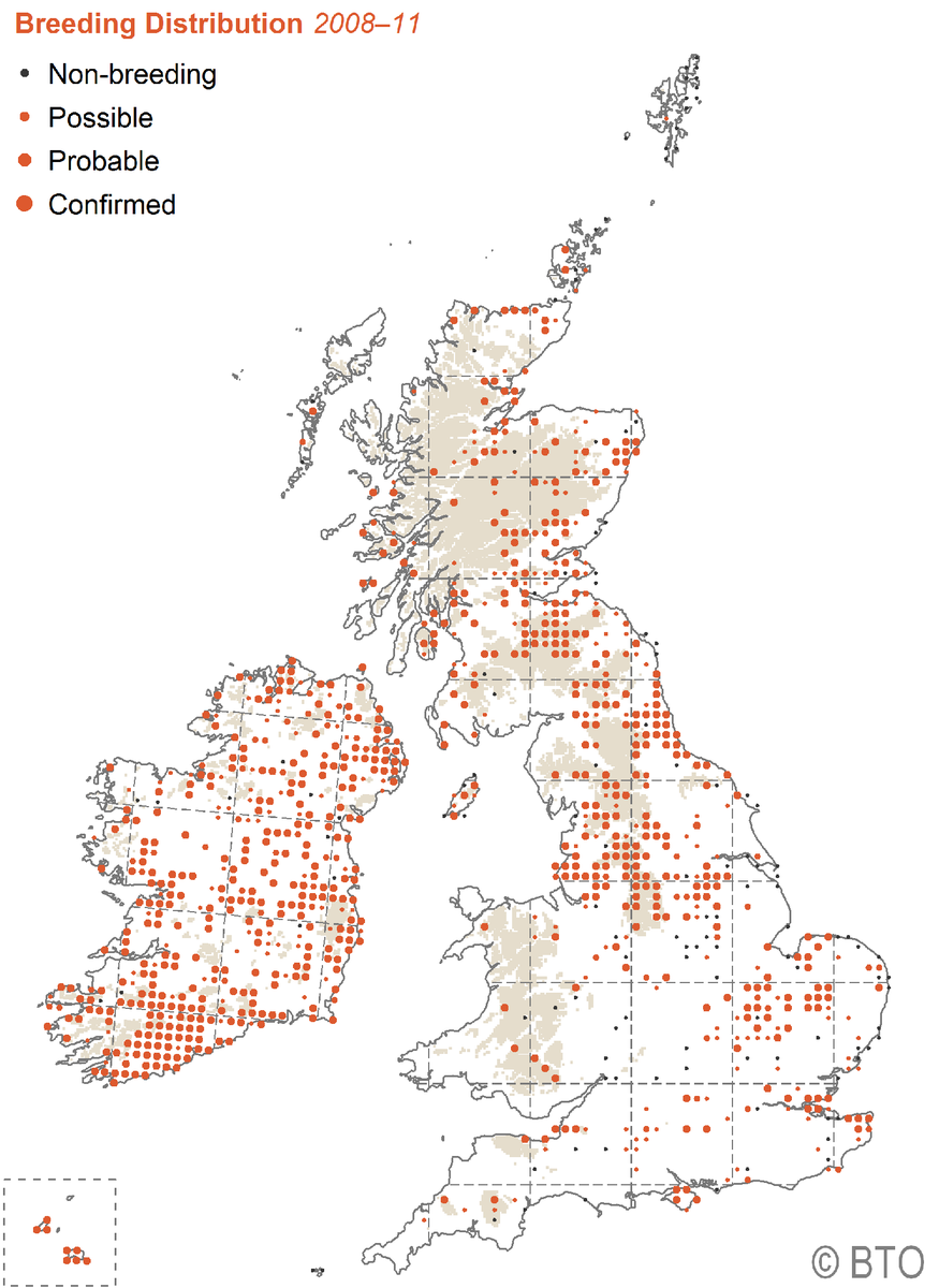 With calm weather forecast for the weekend, it's a perfect time to head out and listen for adult Long-eared Owls calling. We know so little about this species in many areas. Submit your records to your county recorder through the usual channels to help build our knowledge.