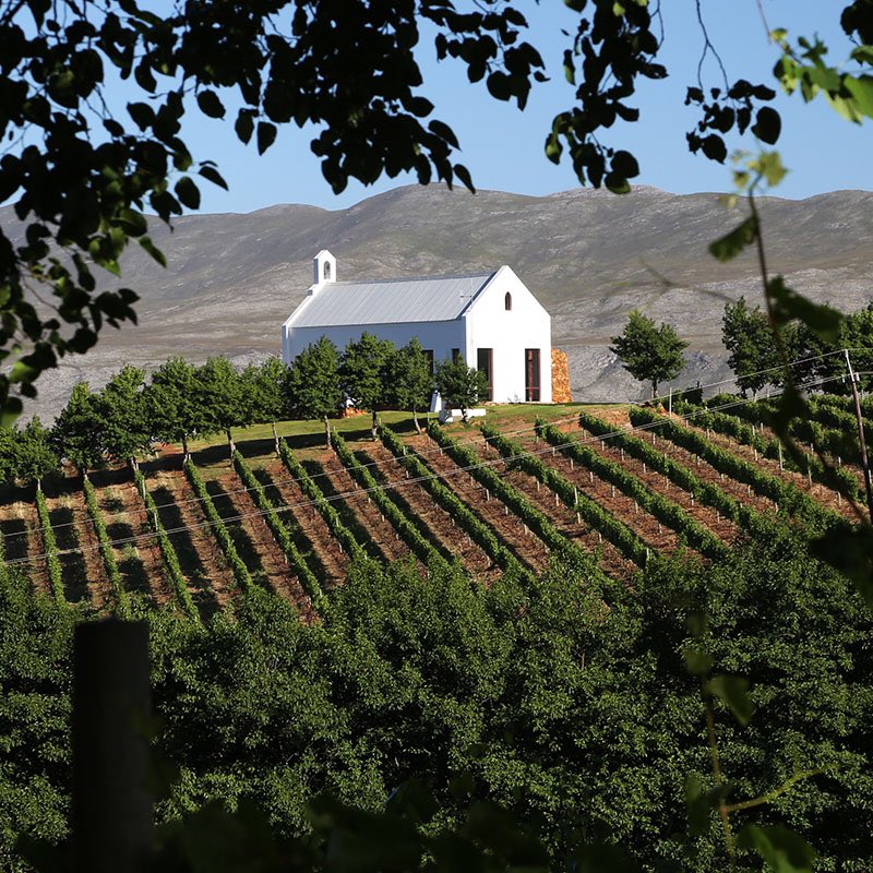 capeabilitytour's tweet photo. Hemel-en-Aarde Valley meaning Heaven on Earth - indeed!! #wein #sommslife #winetasting #winelovers #sommlife #mcc #champagne #southafrica #safari https://t.co/ioEGPn3T77
