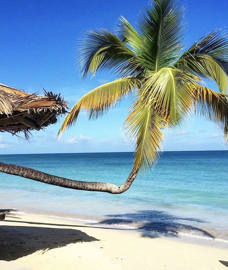 MyCaribbeanR's tweet photo. White Sand, Blue Seas awaits you in Antigua. Rental cars starting $25.00 per day. #MyCaribbeanR https://t.co/zEdEUTTaLs