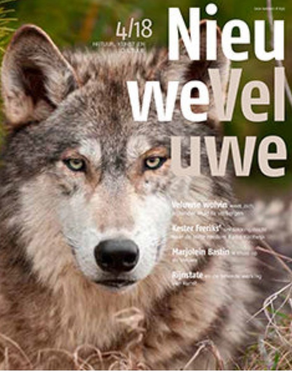 M_Cornielje's tweet photo. Veluwedebat @NieuweVeluwe "Wat willen de boeren zelf?""Welzijn boven Welvaart" @lrg_min Lijst 12 @LokalePartijenG @LCodeoranje @Code__Oranje https://t.co/XdWHg6qHCA