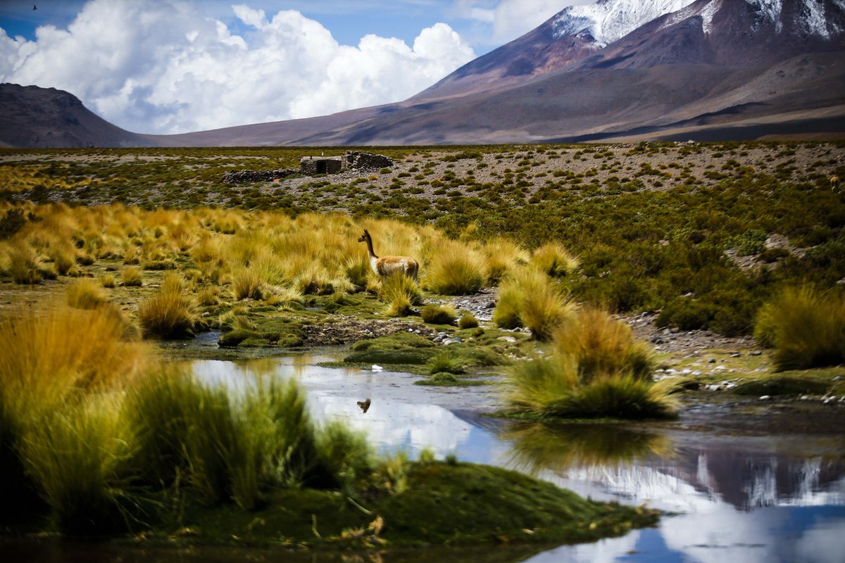 EFETurAmerica's tweet photo. ¿Amantes de los viajes y naturaleza? Sin duda uno de los destinos que debes conocer es el desierto de Atacama en Chile. ¡No te lo pierdas! #Destinos #Turismo #Latinoamérica https://t.co/3ouTmC2PKD