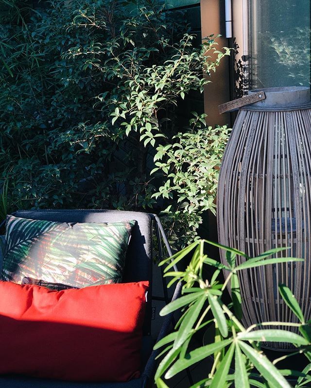 hyattregencyams's tweet photo. Sunny Fridays #atHyattRegency ☀️ Spring, is that you? .
.
.
#hyattregencyamsterdam #terrace #terrasweer #terrasjepakken #courtyard #greenliving #cozy #wintersun #springiscoming #weekendmode https://t.co/srMdPFwlPX https://t.co/Njvy7y7rcc