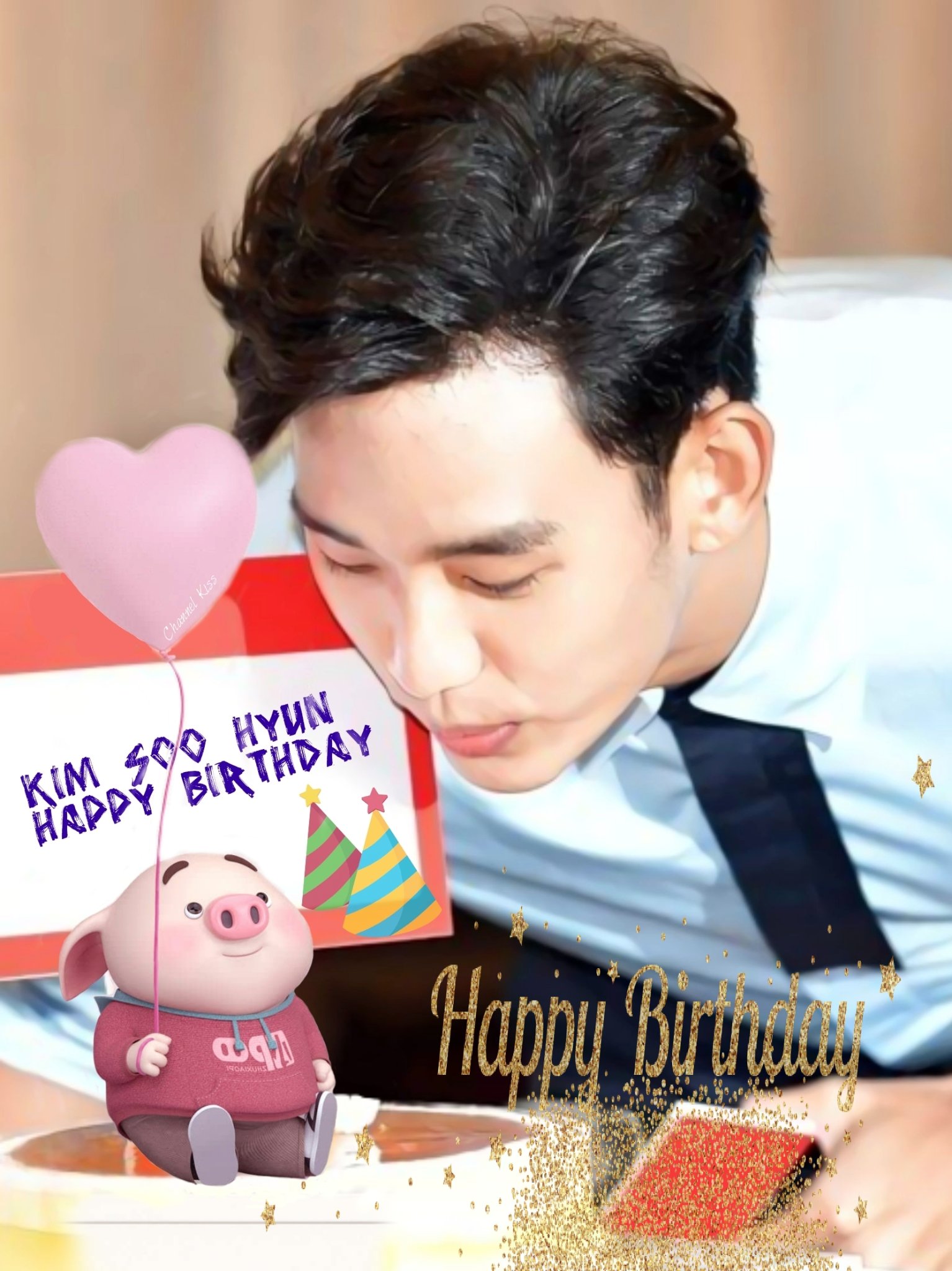 Kim Soo Hyun Happy Birthday     