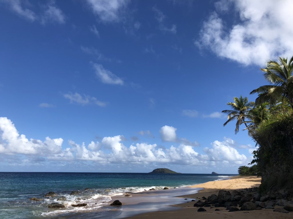 TinaGymskolen's tweet photo. Vinterferie☀️🌴🏊🏻‍♀️❤️#Guadeloupe #Caribien #pusterum #lykke https://t.co/741uc9Dr95
