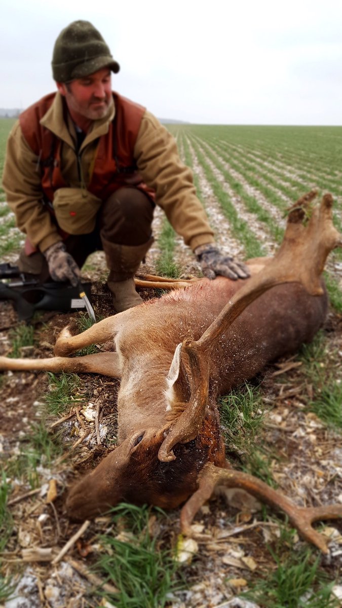 FarmingTheWild's tweet photo. Wild Venison harvested in a blizzard. Tune-in tonight at 7pm ET on @OUTDChannel &amp; @MyOutdoorTV  for a new episode of #FarmingTheWild

Mike’s cooking up the whole Neck of a Fallow Deer, accompanied by his unctuous Deer Gravy and his famous Dirty Mash! #wildfood https://t.co/vkWEINTqiD