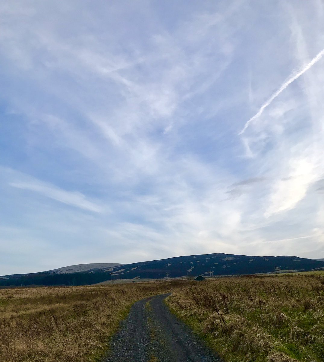 WindyWilson88's tweet photo. Cracking day to head up in to the Hills with these 2

Chance to loosen the legs before tomorrow’s #LongRunClub’s 13 miler, and try out my new @HOKAONEONE SpeedGoats before Sunday’s Trail session

#HOKA #ViBram #Cockapoos #SpeedGoats #TimeToFly #KinpaunchHill #StrongerThanYouThink https://t.co/p6mo4OU4gG